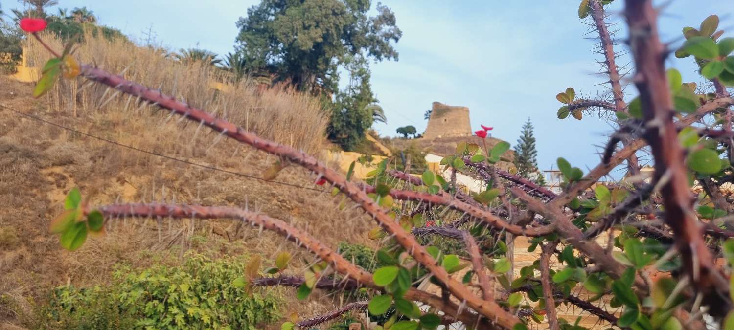 Hus udlejes i Benajarafe