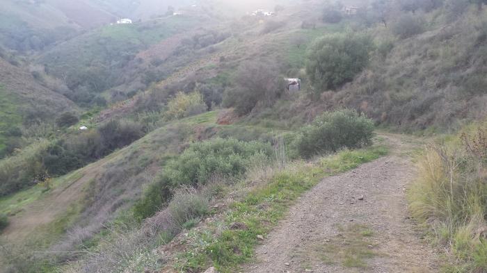 Azienda agricola per la coltivazione in vendita