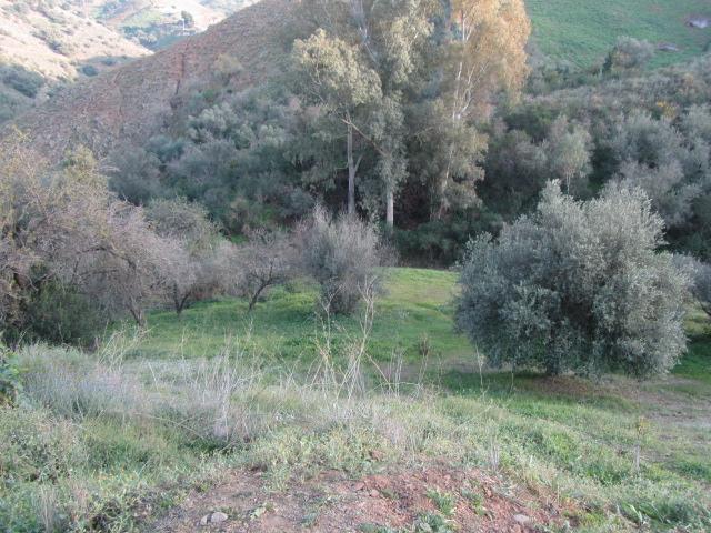 Se vende finca para cultivo