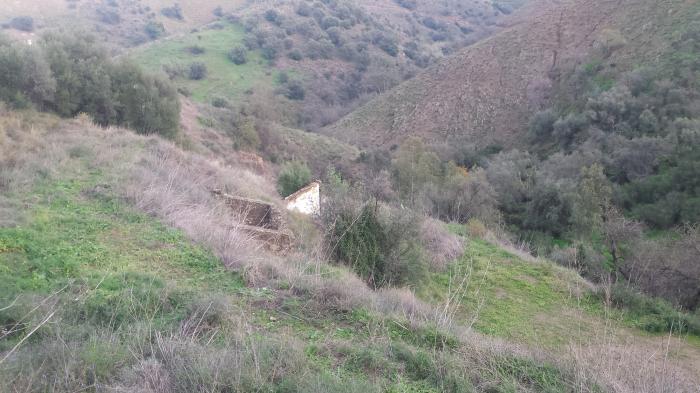 Azienda agricola per la coltivazione in vendita