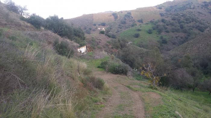 Azienda agricola per la coltivazione in vendita