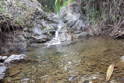 Finca en venta en Almáchar